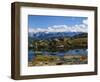 Kesugi Ridge, Denali National Park, Alaska, USA-Scott T. Smith-Framed Photographic Print