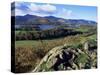 Keswick from Castle Head, Borrowdale, Lake District, Cumbria, England, United Kingdom-Neale Clarke-Stretched Canvas