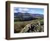 Keswick from Castle Head, Borrowdale, Lake District, Cumbria, England, United Kingdom-Neale Clarke-Framed Photographic Print