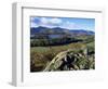 Keswick from Castle Head, Borrowdale, Lake District, Cumbria, England, United Kingdom-Neale Clarke-Framed Photographic Print