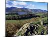 Keswick from Castle Head, Borrowdale, Lake District, Cumbria, England, United Kingdom-Neale Clarke-Mounted Photographic Print