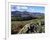 Keswick from Castle Head, Borrowdale, Lake District, Cumbria, England, United Kingdom-Neale Clarke-Framed Photographic Print