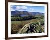 Keswick from Castle Head, Borrowdale, Lake District, Cumbria, England, United Kingdom-Neale Clarke-Framed Photographic Print