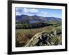 Keswick from Castle Head, Borrowdale, Lake District, Cumbria, England, United Kingdom-Neale Clarke-Framed Photographic Print