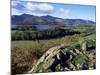 Keswick from Castle Head, Borrowdale, Lake District, Cumbria, England, United Kingdom-Neale Clarke-Mounted Photographic Print