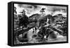 Ketchikan, Alaska - General View of City Park-Lantern Press-Framed Stretched Canvas