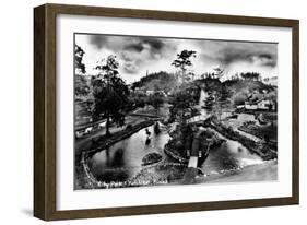 Ketchikan, Alaska - General View of City Park-Lantern Press-Framed Art Print