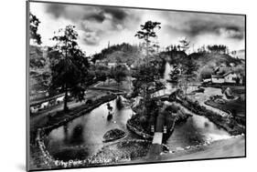 Ketchikan, Alaska - General View of City Park-Lantern Press-Mounted Art Print