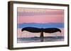 Ketchikan, Alaska - Humpback Fluke and Sunset-Lantern Press-Framed Art Print