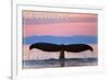 Ketchikan, Alaska - Humpback Fluke and Sunset-Lantern Press-Framed Art Print