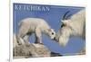 Ketchikan, Alaska - Mountain Goat and Kid-Lantern Press-Framed Art Print