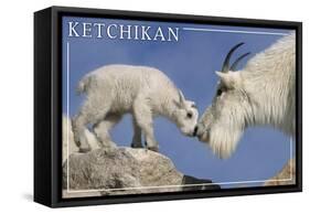 Ketchikan, Alaska - Mountain Goat and Kid-Lantern Press-Framed Stretched Canvas
