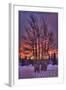Ketchikan, Alaska - Tree in Snow-Lantern Press-Framed Art Print