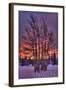 Ketchikan, Alaska - Tree in Snow-Lantern Press-Framed Art Print