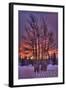 Ketchikan, Alaska - Tree in Snow-Lantern Press-Framed Art Print