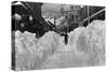 Ketchikan, Alaska - View of a Snow-Covered Front Street-Lantern Press-Stretched Canvas