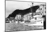 Ketchikan, Alaska View of Seiner Fleet Fishing Boats Photograph - Ketchikan, AK-Lantern Press-Mounted Art Print