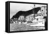 Ketchikan, Alaska View of Seiner Fleet Fishing Boats Photograph - Ketchikan, AK-Lantern Press-Framed Stretched Canvas