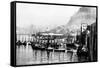 Ketchikan, Alaska - View of Trolling Boats in Harbor-Lantern Press-Framed Stretched Canvas