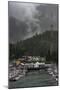 Ketchikan Harbor-Steven Maxx-Mounted Photographic Print