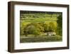 Kettlewell village field sysyem, out barns and dry stone walls, in Wharfedale, The Yorkshire Dales,-John Potter-Framed Photographic Print