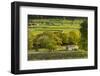 Kettlewell village field sysyem, out barns and dry stone walls, in Wharfedale, The Yorkshire Dales,-John Potter-Framed Photographic Print