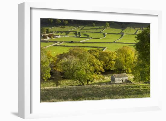 Kettlewell village field sysyem, out barns and dry stone walls, in Wharfedale, The Yorkshire Dales,-John Potter-Framed Photographic Print