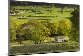 Kettlewell village field sysyem, out barns and dry stone walls, in Wharfedale, The Yorkshire Dales,-John Potter-Mounted Photographic Print