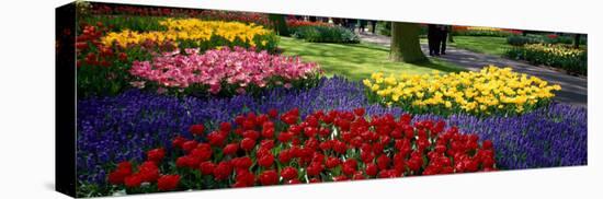 Keukenhof Garden, Lisse, the Netherlands-null-Stretched Canvas