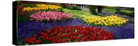 Keukenhof Garden, Lisse, the Netherlands-null-Stretched Canvas