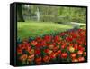 Keukenhof Gardens, Keukenhof, Netherlands-Christian Kober-Framed Stretched Canvas