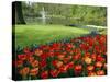 Keukenhof Gardens, Keukenhof, Netherlands-Christian Kober-Stretched Canvas