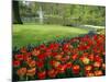 Keukenhof Gardens, Keukenhof, Netherlands-Christian Kober-Mounted Photographic Print