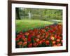 Keukenhof Gardens, Keukenhof, Netherlands-Christian Kober-Framed Photographic Print