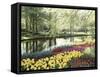 Keukenhof Gardens, Lissa, Netherlands-null-Framed Stretched Canvas