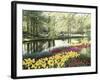 Keukenhof Gardens, Lissa, Netherlands-null-Framed Photographic Print