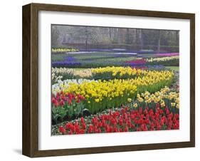 Keukenhof Gardens, Lisse, Netherlands, Holland-Adam Jones-Framed Photographic Print