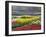 Keukenhof Gardens, Lisse, Netherlands, Holland-Adam Jones-Framed Photographic Print