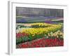 Keukenhof Gardens, Lisse, Netherlands, Holland-Adam Jones-Framed Photographic Print