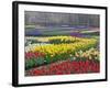 Keukenhof Gardens, Lisse, Netherlands, Holland-Adam Jones-Framed Photographic Print