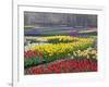 Keukenhof Gardens, Lisse, Netherlands, Holland-Adam Jones-Framed Photographic Print