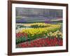 Keukenhof Gardens, Lisse, Netherlands, Holland-Adam Jones-Framed Photographic Print