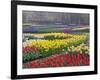 Keukenhof Gardens, Lisse, Netherlands, Holland-Adam Jones-Framed Photographic Print