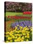 Keukenhof Gardens, Lisse, Netherlands, Holland-Adam Jones-Stretched Canvas