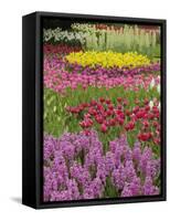 Keukenhof Gardens, Lisse, Netherlands, Holland-Adam Jones-Framed Stretched Canvas