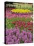 Keukenhof Gardens, Lisse, Netherlands, Holland-Adam Jones-Stretched Canvas