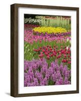 Keukenhof Gardens, Lisse, Netherlands, Holland-Adam Jones-Framed Photographic Print