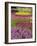 Keukenhof Gardens, Lisse, Netherlands, Holland-Adam Jones-Framed Photographic Print