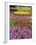 Keukenhof Gardens, Lisse, Netherlands, Holland-Adam Jones-Framed Photographic Print