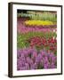 Keukenhof Gardens, Lisse, Netherlands, Holland-Adam Jones-Framed Photographic Print